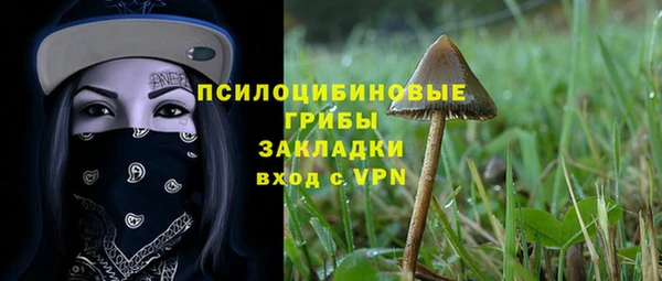 гашик Алексеевка