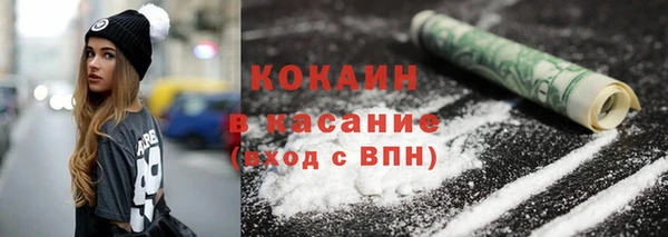 гашик Алексеевка