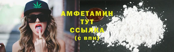 гашик Алексеевка