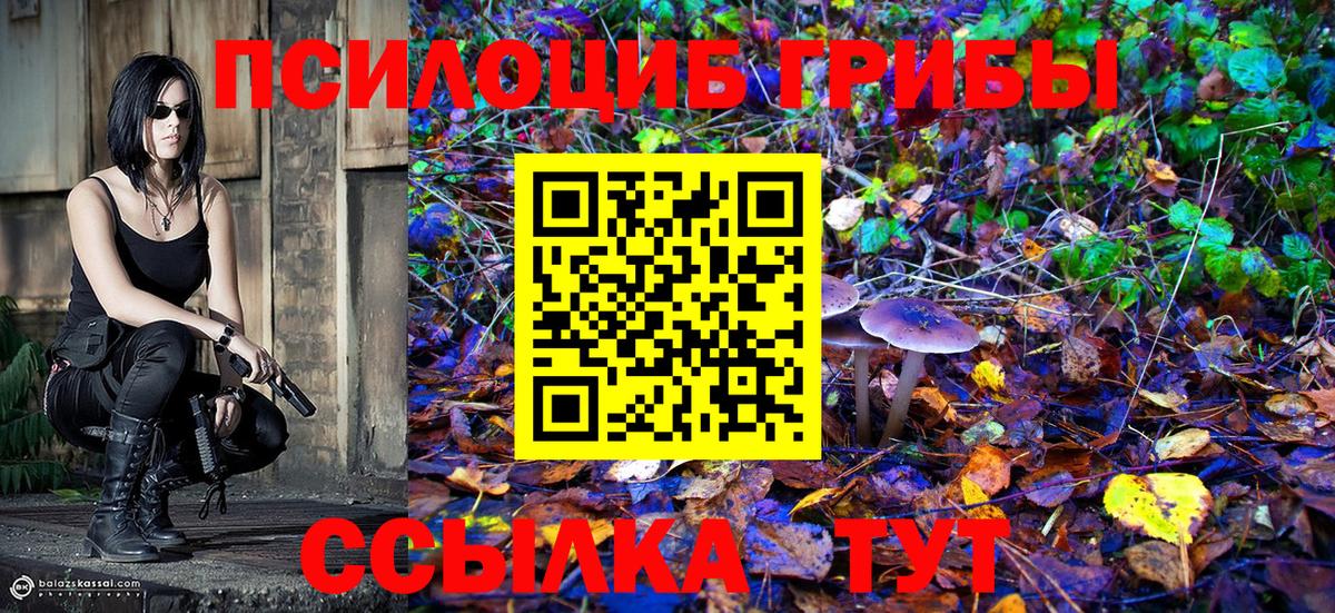 Псилоцибиновые грибы Magic Shrooms Ревда