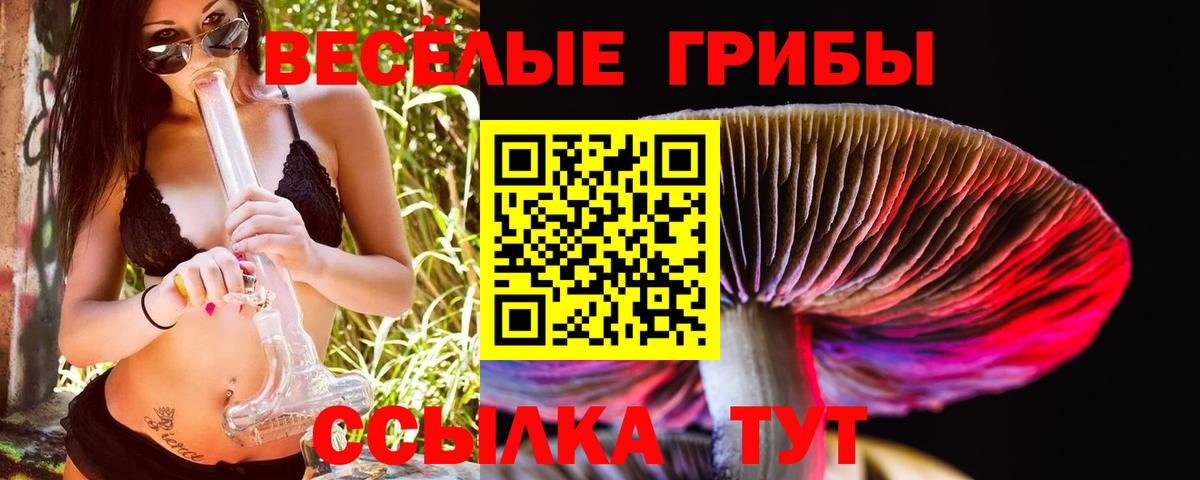 Ревда  Галлюциногенные грибы Psilocybe  Галлюциногенные грибы Magic Shrooms  Вход с VPN 